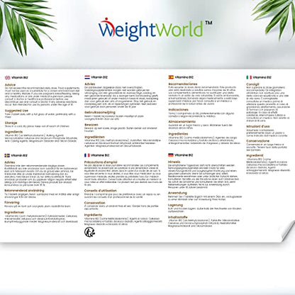 Vitamin B12 Tablets High Strength – 1000mcg Vegan B12 Supplement – 450 Pure Methylcob WeightWorldUS supplements