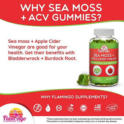 Sea Moss Gummies with Apple Cider Vinegar, Bladderwrack, and Burdock Root Organic Flamingo SupplementsUS supplements