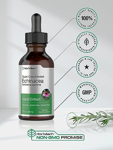 Echinacea Drops Liquid Extract | 2 fl oz | Super Concentrated Tincture | Alcohol Free HorbäachUS supplements