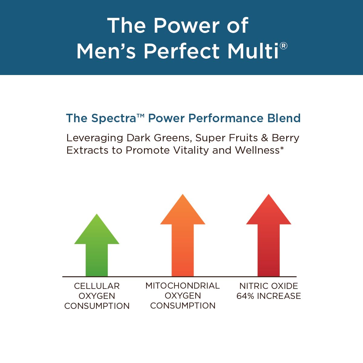 Purity Products Men's Perfect Multi from Vitamins, Minerals and Phytonutrients - Promotes Energy, Vitality and Stamina - Easy to Swallow - 90 Tablets Purity ProductsAu supplements