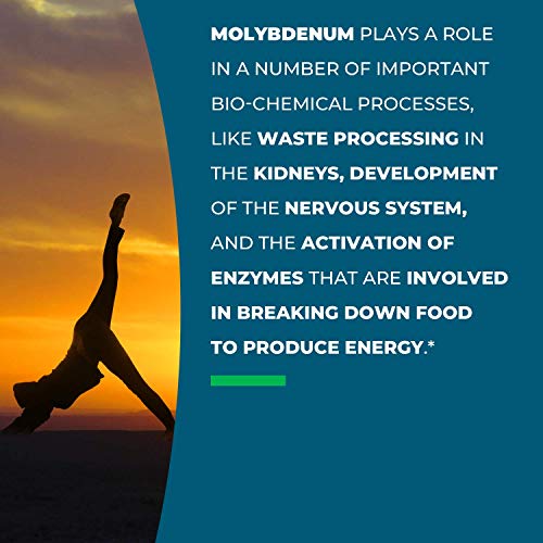 Seeking Health Molybdenum 500, Molybdenum Glycinate Chelate Supplement Seeking HealthAu supplements