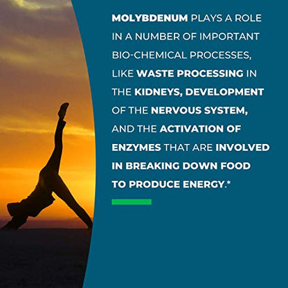 Seeking Health Molybdenum 500, Molybdenum Glycinate Chelate Supplement Seeking HealthUS supplements