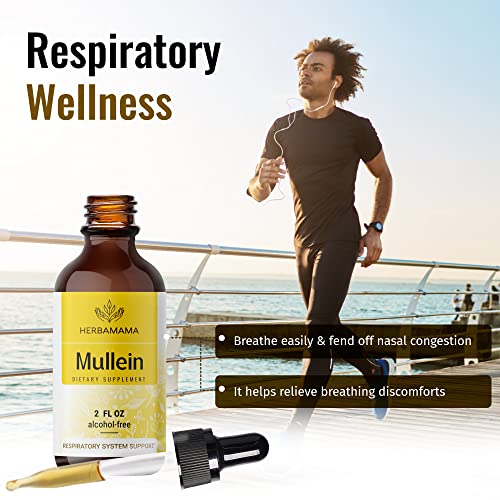 Mullein Leaf Tincture - Lung Cleanse - Vegan Lung Detox - Respiratory Health HERBAMAMAAu supplements