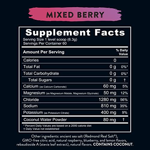 REDMOND Re-Lyte Hydration Electrolyte Mix (Mixed Berry) REDMONDUS supplements