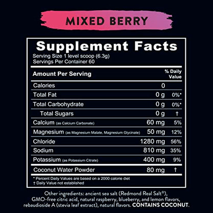 REDMOND Re-Lyte Hydration Electrolyte Mix (Mixed Berry) REDMONDUS supplements