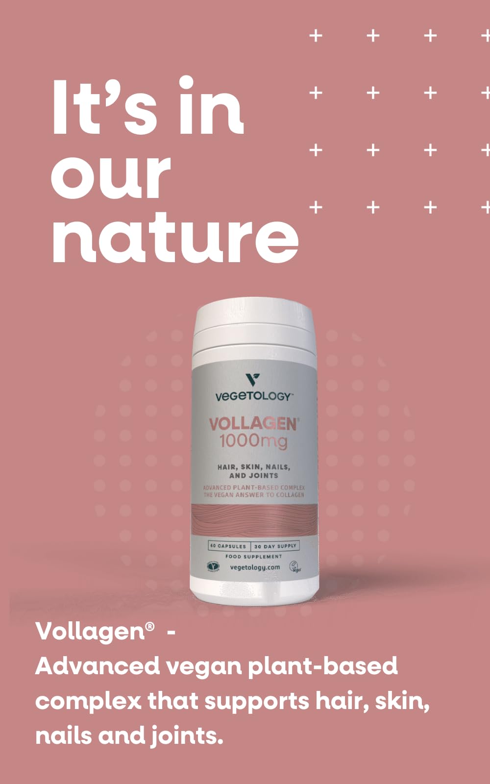 Vegetology Vollagen® Plant Based Complex – Plant Based Protein Alternative to Collagen VEGETOLOGYUS supplements