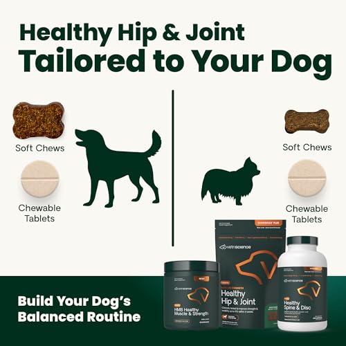 VetriScience Ultimate Strength Hip & Joint Supplement for Dogs, GlycoFlex Plus – MSM, Chondroitin & Green-Lipped Mussel Chews for Mobility, Flexibility, Comfort & Support, Peanut Butter Flavor 120 Cnt VETRISCIENCEAu supplements