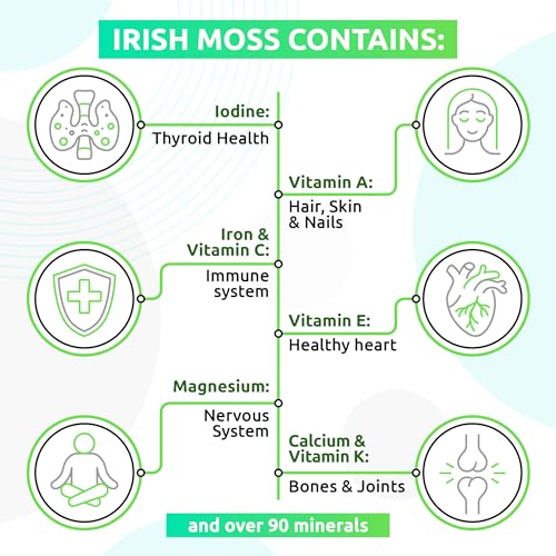 TrueSeaMoss Wildcrafted Irish Sea Moss Gel – Nutritious Raw Seamoss Rich in Minerals TrueSeaMossUS supplements