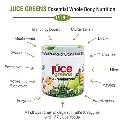 Terra Kai Organics JUCE Green Superfood Powder, Organic Fruits and Veggies Supplement Terra Kai OrganicsUS supplements