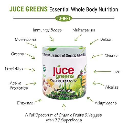 Terra Kai Organics JUCE Green Superfood Powder, Organic Fruits and Veggies Supplement Terra Kai OrganicsUS supplements