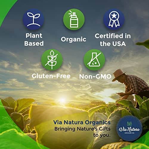 Via Natura Organics Apple Cider Vinegar Capsules 1000mg | Organic Herbal Supplement Via Natura OrganicsUS supplements