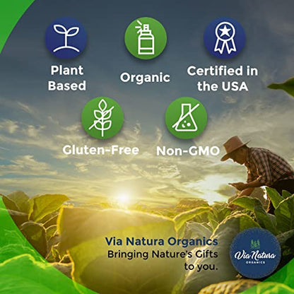 Via Natura Organics Apple Cider Vinegar Capsules 1000mg | Organic Herbal Supplement Via Natura OrganicsUS supplements