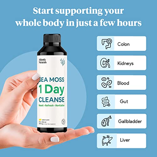 Sea Moss 1 Day Cleanse - Full Body Detox to support bowel movements, Kidney Health Atlantic NaturalsAu supplements