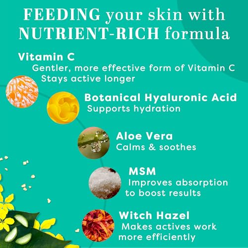 TruSkin Naturals Vitamin C Face Serum Anti Aging Face & Eye Serum TruSkin NaturalsUS supplements