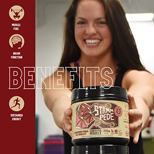 Earth Fed Muscle Stammpede DragoFruit Punch Pre Workout, 30 Servings, Boost Energy Earth Fed MuscleUS supplements