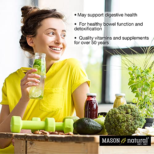MASON NATURAL Peppermint Oil 50 mg Enteric Coated - Natural Gastrointestinal Comfort MASON NATURALUS supplements