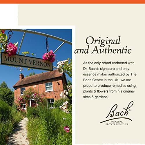 Bach Original Flower Remedies, Rock Rose for Courage (Non-Alcohol Formula), Natural Homeopathic BachAu supplements