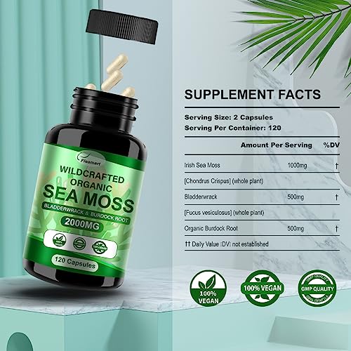 Fleamart 2 Pack Irish Sea Moss Capsules 120ct Raw Organic Sea Moss Wildcrafted Bladder FleamartUS supplements