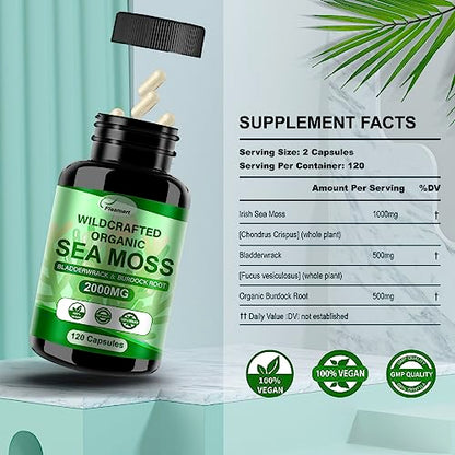 Fleamart 2 Pack Irish Sea Moss Capsules 120ct Raw Organic Sea Moss Wildcrafted Bladder FleamartUS supplements