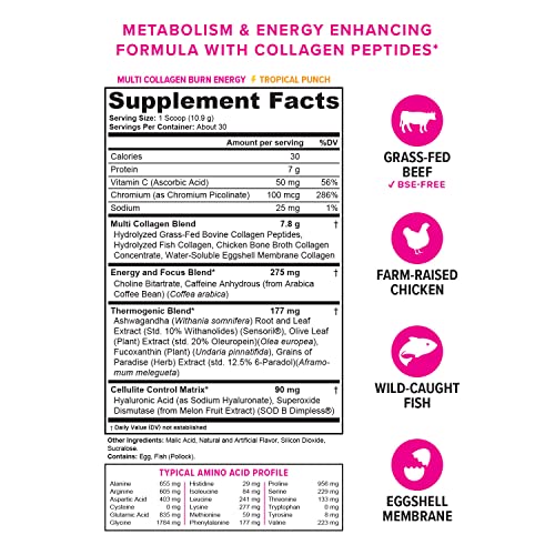 Multi Collagen Burn: Multi-Type Hydrolyzed Protein Peptides with Hyaluronic Acid, Vitamin VitauthorityUS supplements