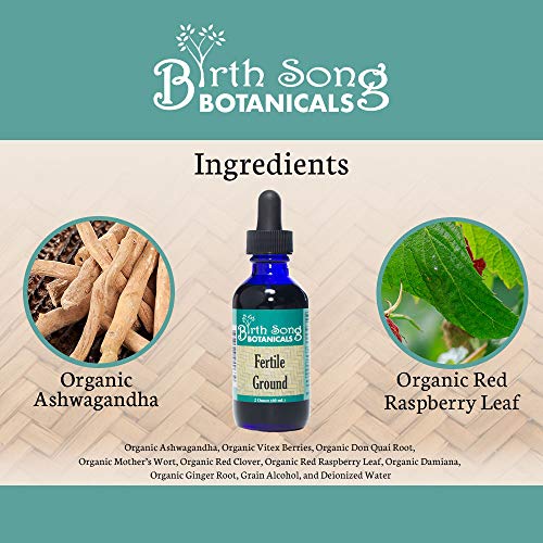 Birth Song Botanicals Fertile Ground Fertility Liquid Tincture, Herbal Supplement to Help Regulate Birth Song BotanicalsAu supplements