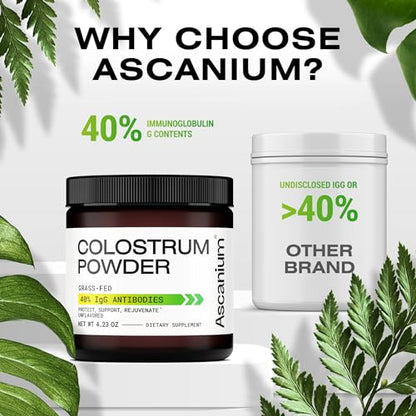Colostrum Powder - Grass-Fed 40% IgG Colostrum Supplement Powder - Bovine AscaniumUS supplements