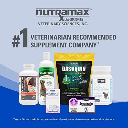 Nutramax Cobalequin B12 Supplement for Cats and Small Dogs, 45 Count (Pack of 1) Nutramax LaboratoriesUS supplements