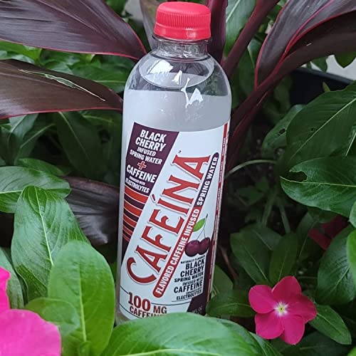 Cafeina - Naturally Flavored Black Cherry Caffeinated Spring Water (12 Pack) - 100mg Caffeine CAFEINAAu supplements