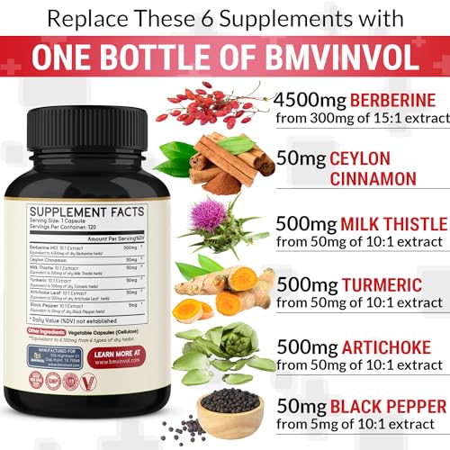 BMVINVOL Premium Berberine HCl 6-in1 Equivalent 6100mg - 120 Capsules - Plus Ceylon BMVINVOLUS supplements