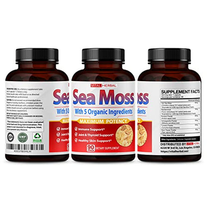 VITAL HERBAL Irish Sea Moss Capsules Equivalent to 5450mg - Maximum Potency VITAL HERBALUS supplements