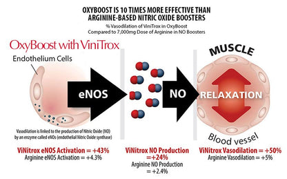 OxyBoost with ViNitrox - Nitric Oxide Supplement for Blood Pressure Support, Heart Health OxyNaturalsUS supplements