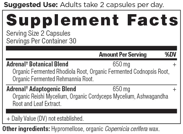 Ancient Nutrition Adrenal Support with Ashwagandha Supplement, Helps Reduce Stress & Fatigue, Paleo and Keto Friendly, Gluten Free, 1300mg, 60 Capsules Ancient NutritionAu supplements