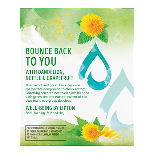 Lipton Green Tea Bags, Herbal Supplement for Detox, 15 Count (Pack of 4) LiptonUS supplements