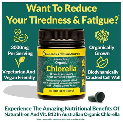 BioGenesis Chlorella Tablets, 600 Tablet Count (500mg) BiogenesisUS supplements