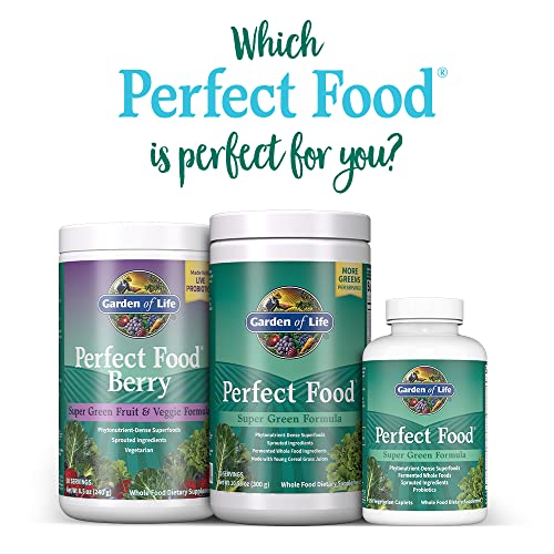 Garden of Life Perfect Food Super Green Formula - 14 Servings | 45 Superfoods, Greens Garden of LifeUS supplements