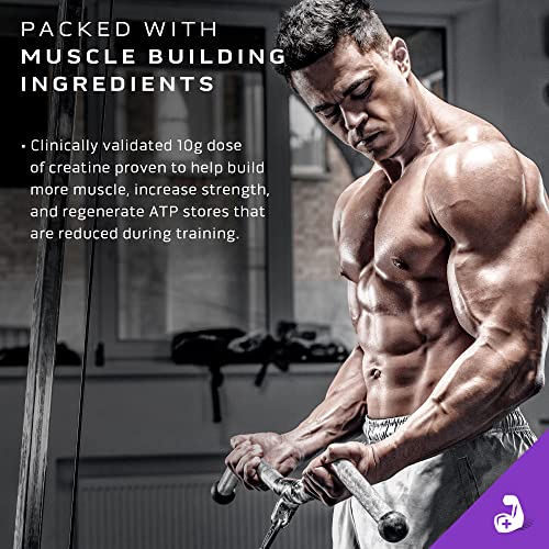 MuscleTech Mass Gainer Protein Powder, Mass-Tech Extreme 2000, Muscle Builder MuscleTechUS supplements