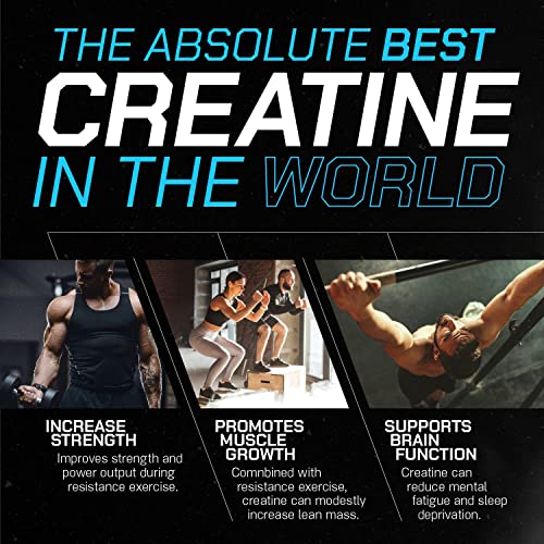 Muscle Feast Creapure Creatine Monohydrate Powder for Muscle Growth Nutritional Muscle FeastUS supplements