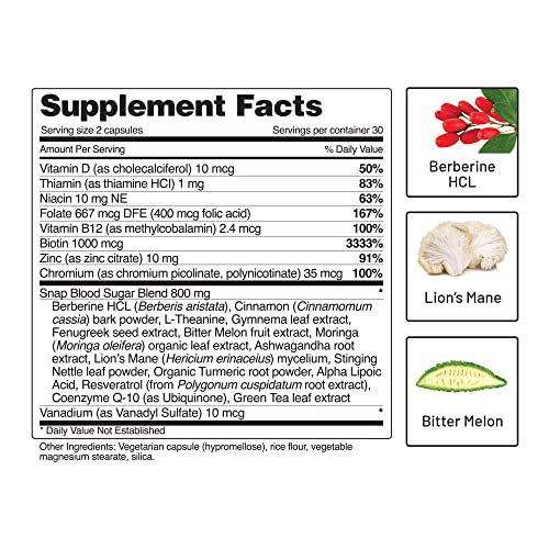 Snap Supplements Blood Sugar Blend - Support Healthy Blood Sugar, 60 Capsules Snap SupplementsUS supplements