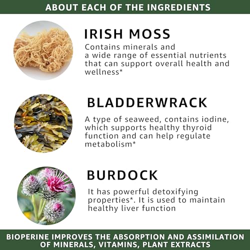 healblend Organic Irish Moss, Bladderwrack, Burdock, & BioPerine - 1405mg with Black Pepper healblendUS supplements