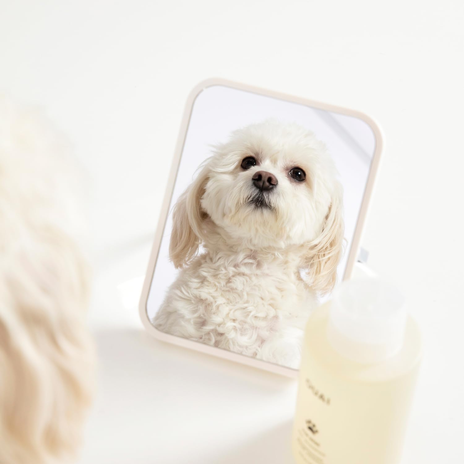 OUAI Fur Bébé Pet Shampoo, Mercer Street Scent - Dog Shampoo and Coat Wash for Hydrating, Cleansing and Adding Shine - Pet Supplies by OUAI (16 Fl Oz) OUAIAu supplements