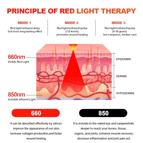 Red Light Therapy Belt Vibrating for Muscle Recovery and Pain Relief DYUFAu supplements