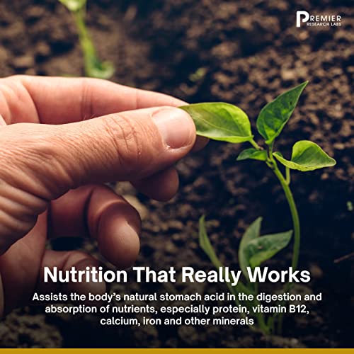 Premier Research Labs Galactan - Prebiotics for Regularity & Healthy Microbiome Premier Research LabsAu supplements