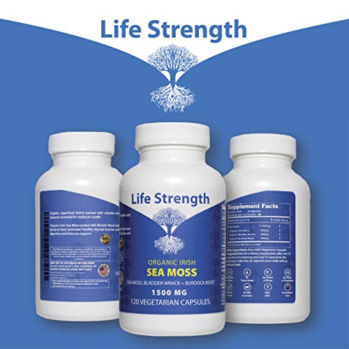 Life Strength Organic Sea Moss 120 CT Wildcrafted Irish Sea Moss and Bladderwrack Burdock Life StrengthAu supplements