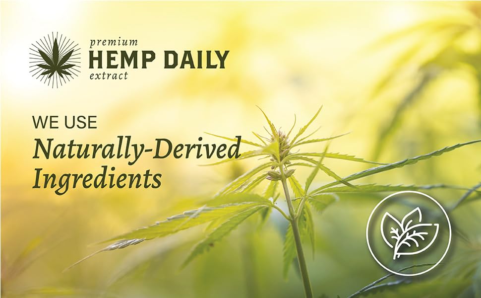 Hemp Daily Active Spray | Hemp Spray with Essential Oils | Vegan, Organic Ingredients | 2 Fluid Ounces (Original Spray, Single) Premium Hemp Extract DailyAu supplements