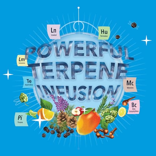 Integra Boost - Terpinolene Infusion - 4 Gram Terpene Essentials Two-Way Humidity Control at 62 Percent RH Integra BoostAu supplements
