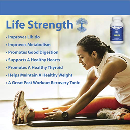 Life Strength Organic Sea Moss 120 CT Wildcrafted Irish Sea Moss and Bladderwrack Burdock Life StrengthUS supplements