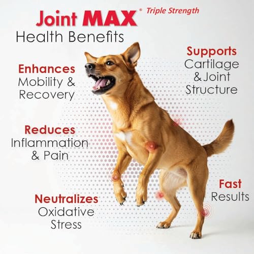 Joint Max TS Joint Supplement Vet Formulated Pain & Inflammation Relief Treats Hip Dysplasia & Arthritis, Glucosamine, Chondroitin, Turmeric, MSM, HA, Creatine, Omega 3 EPA + DHA.120 Soft Chews Joint MaxAu supplements