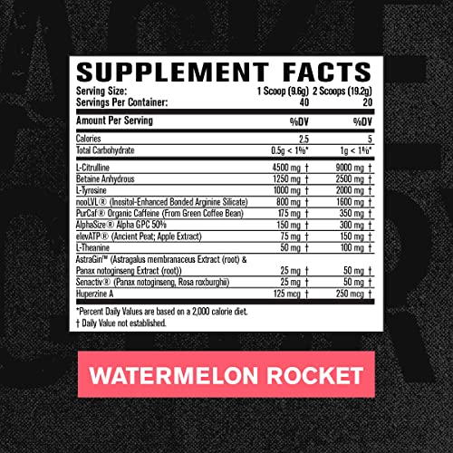 Jacked Factory Nitrosurge Max Nootropic Pre Workout Powder - Premium Pre Workout Jacked FactoryAu supplements