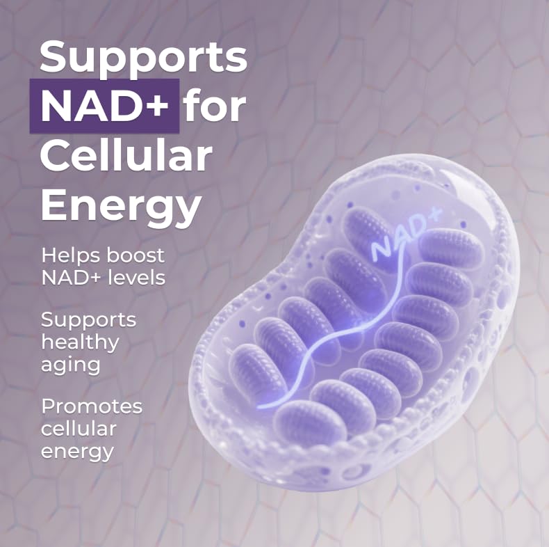 Neurogan Beta NMN (β-NMN) Supplement 500 mg per Serving, High Purity – NAD+ Precursor for Cellular Energy & Vitality – 120 Capsules (2-Month Supply) – Made in USA NeuroganAu supplements