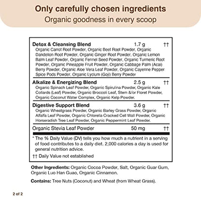 Detox Organics Chocolate Superfood Powder, Detox Cleanse for your Body, Bloating Relief Detox OrganicsUS supplements